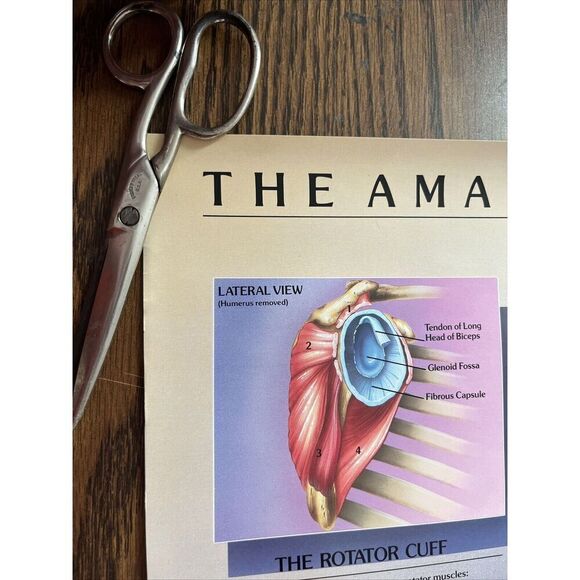 Vintage 1985 The Amazing Shoulder Poster McNeil Pharmaceutical Tylenol Promo - Picture 2 of 10